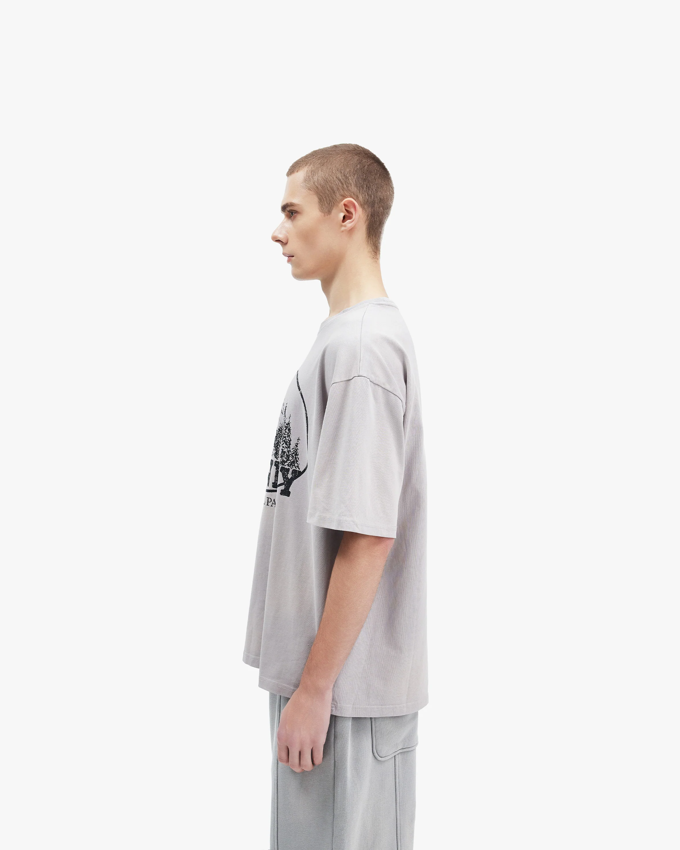 MOUNTAIN TEE GREY - Image 5